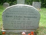 image of grave number 403708